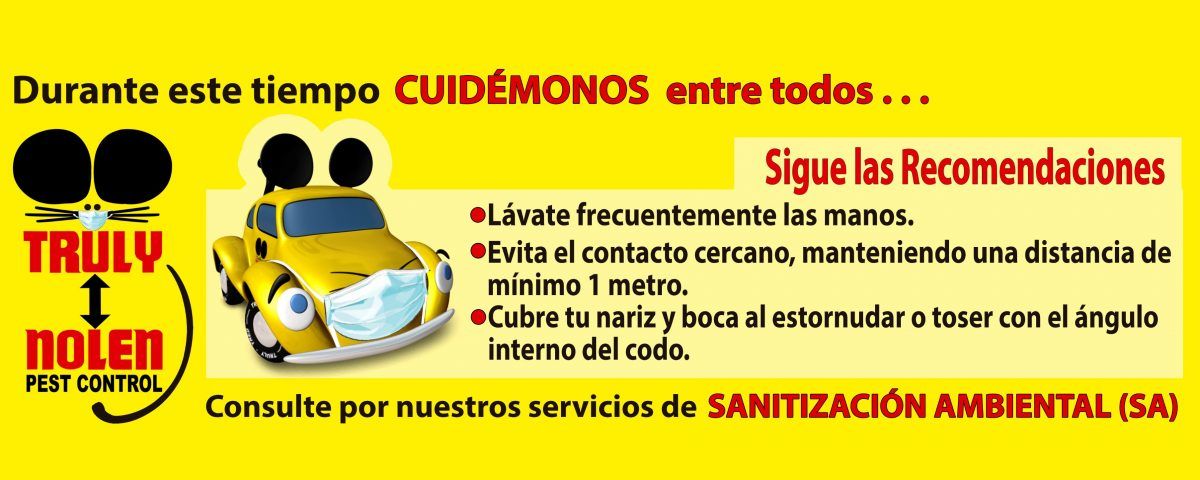 Truly Nolen Chile cuenta con el Servicio de Sanitización Ambiental