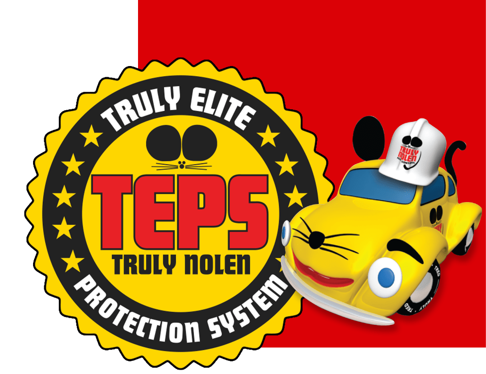PROGRAMA TEPS DE TRULYNOLEN