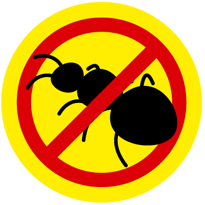 Plaga de insertos rastreros