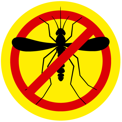 PLAGA DE MOSCAS, SANCUDOS...