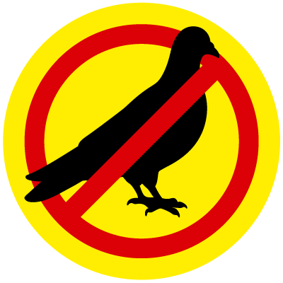 PLAGA DE PALOMAS