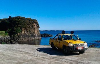Oficina TRULY NOLEN CHILOE