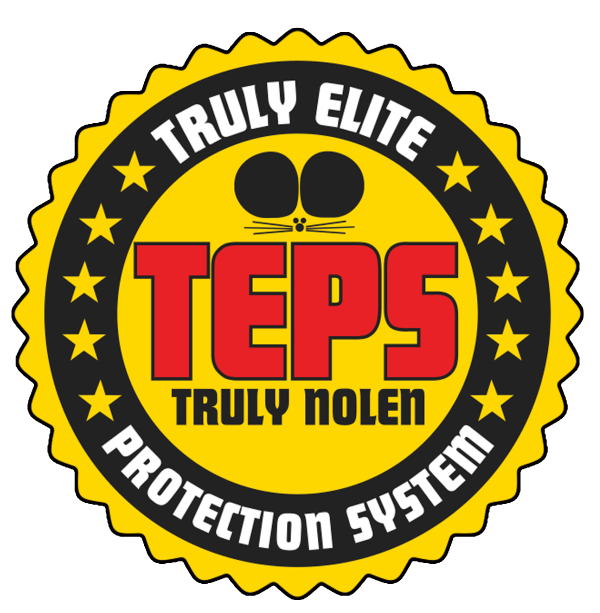 PROGRAMA TEPS